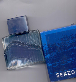 Avon SeaZone Erkek Parfüm