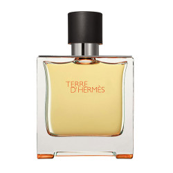Hermes Terre d Hermes Parfum Erkek Parfüm