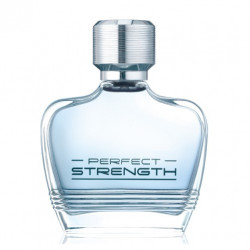 Avon Perfect Strength Erkek Parfüm