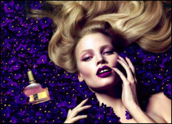 Tom Ford Violet Blonde Bayan Parfüm