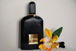 Tom Ford Black Orchid Oud Bayan Parfüm
