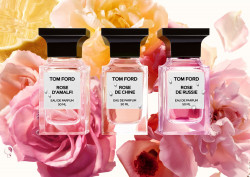 Tom Ford Rose D Amalfi Unisex Parfüm