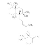 Ambreine