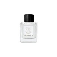 Dolce Gabbana Perfume for Babies Unisex Parfüm